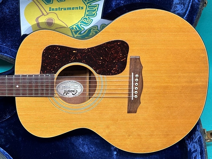 GUILD F-30 NT （ビンテージ）【楽器検索デジマート】