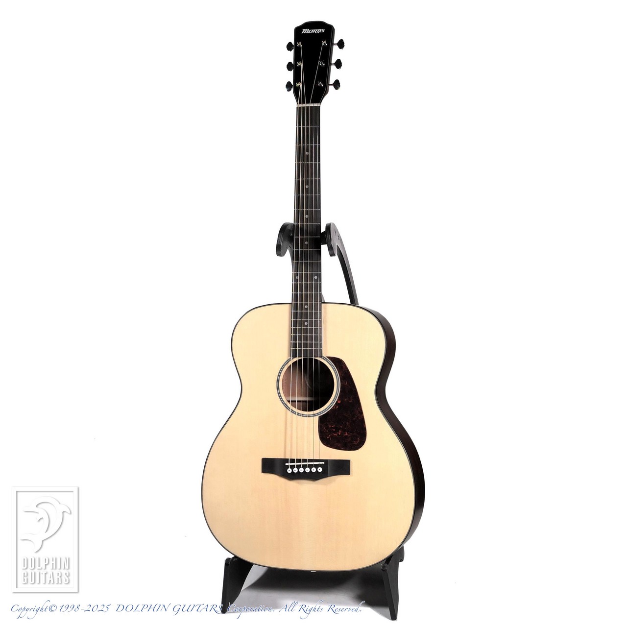 Morris F-1 NAT（新品）【楽器検索デジマート】