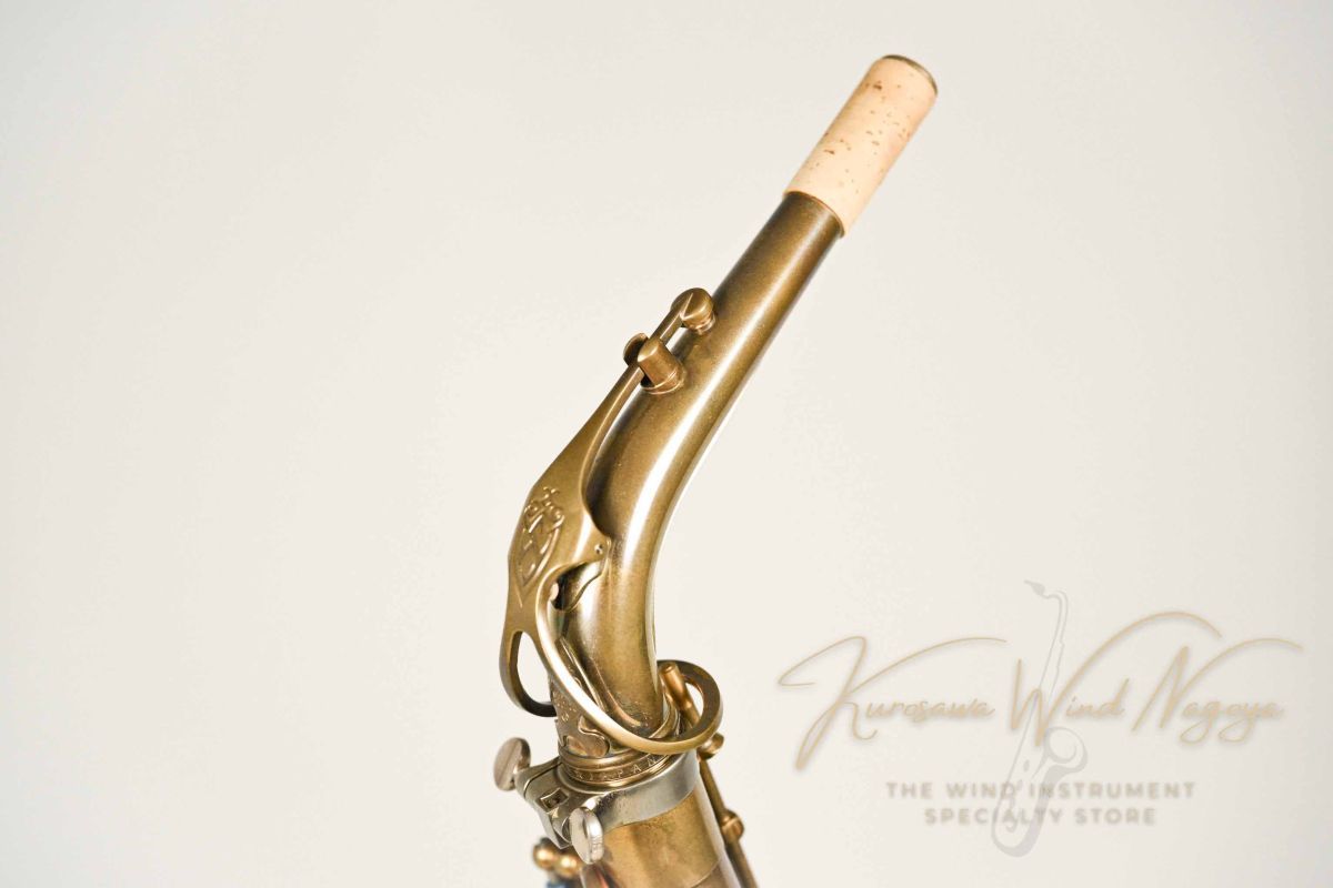WOODSTONE Alto Saxophone 