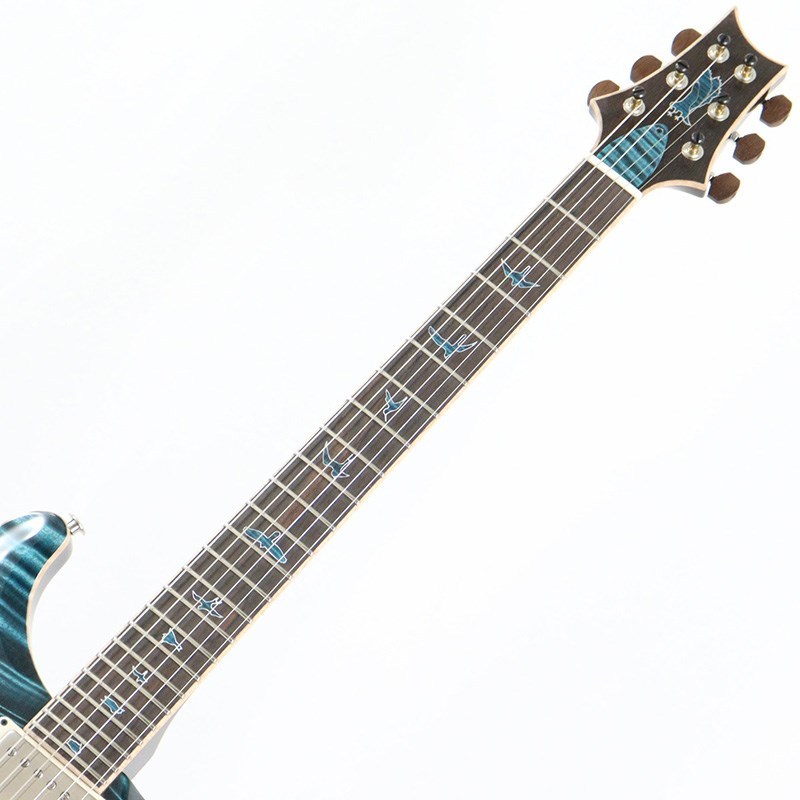 Paul Reed Smith(PRS) Private Stock #10967 Custom 24 Brazilian