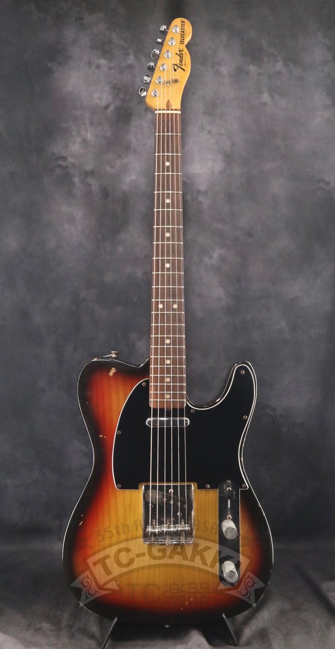 Fender 1979 Telecaster（ビンテージ）【楽器検索デジマート】