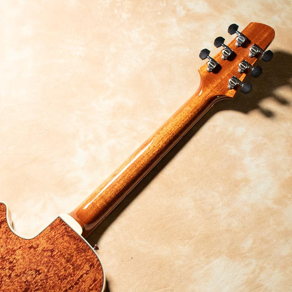 Kikuchi Guitars Archtop JS15 2025 Ltd Exotic Bubinga（新品）【楽器