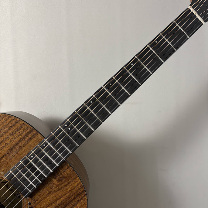 James J-100A MHT アコースティックギター ギグケース付属 マホガニー
