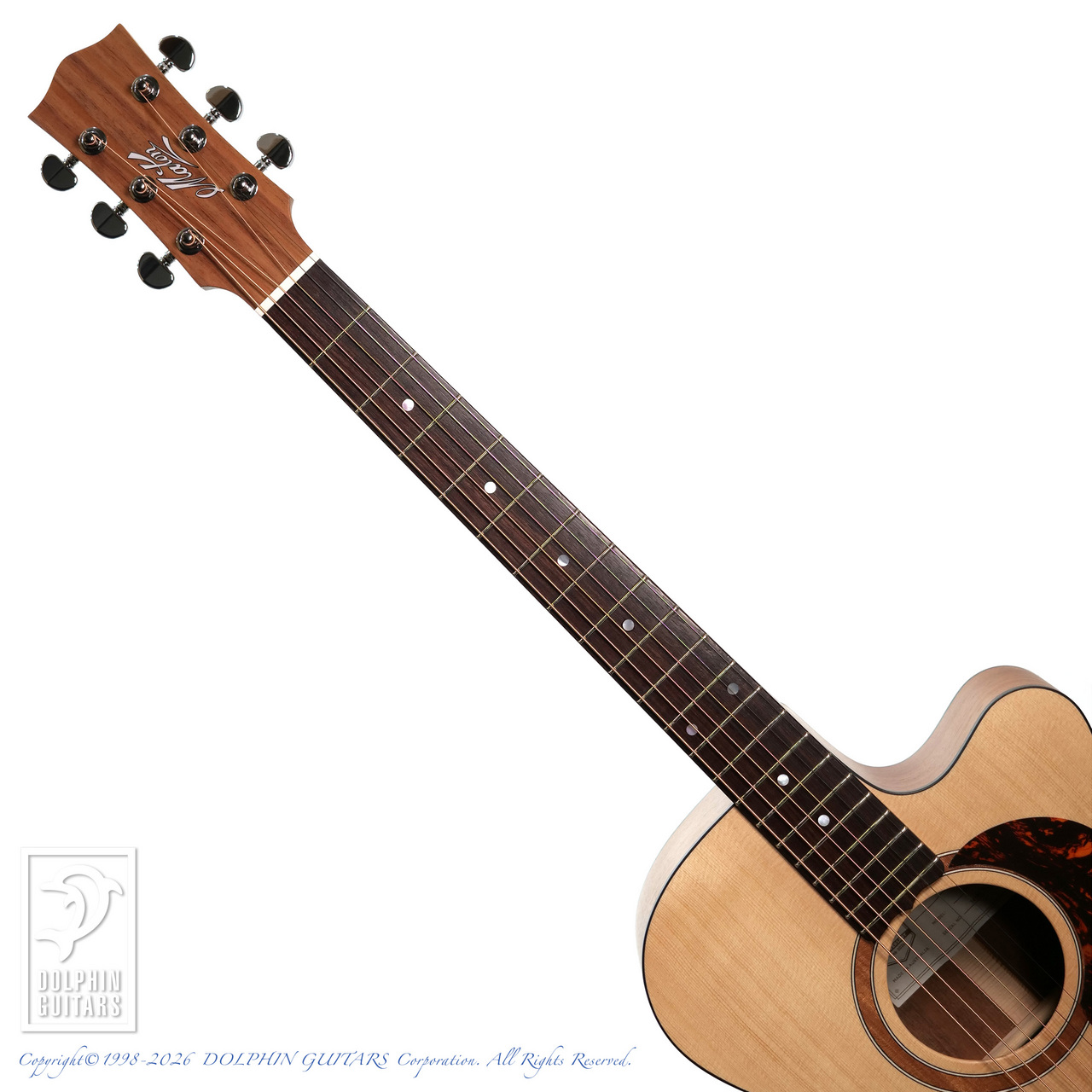MATON SRS808C【60回無金利対象品】（新品）【楽器検索デジマート】