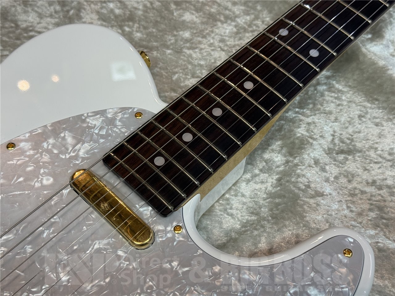 Tokai ATE-101G OWH/R/MH（新品/送料無料）【楽器検索デジマート】
