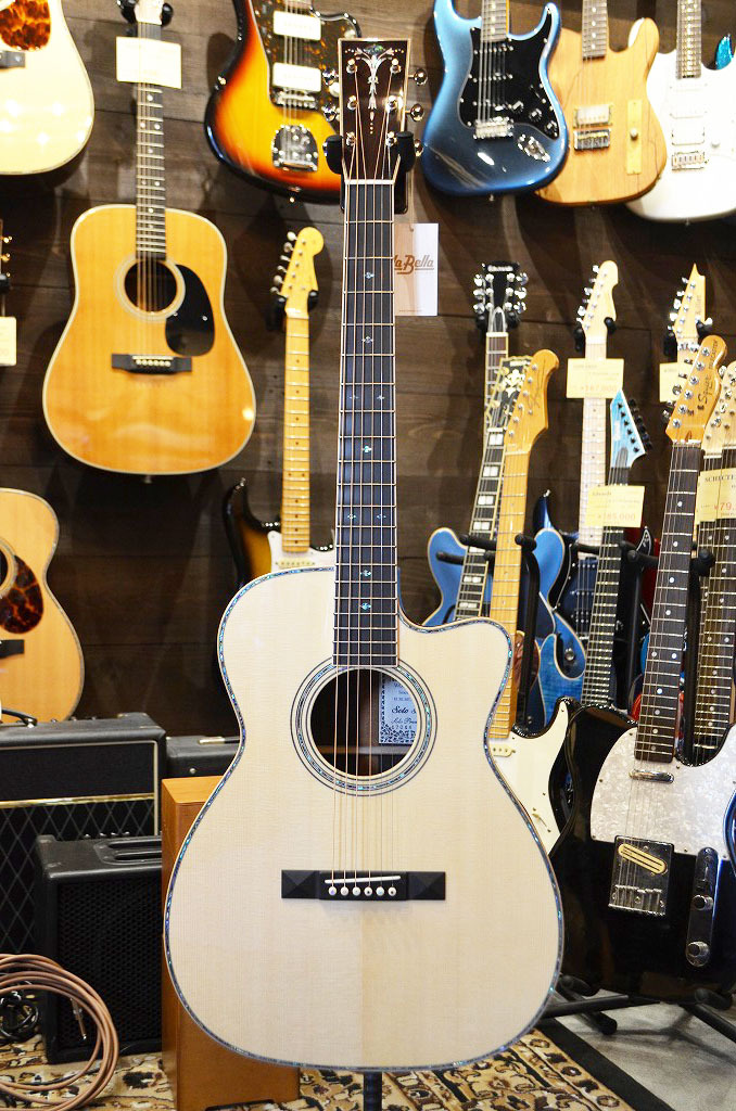 ASTURIAS Solo Premium アコースティックギター ソロ プレミアム - ASTURIAS