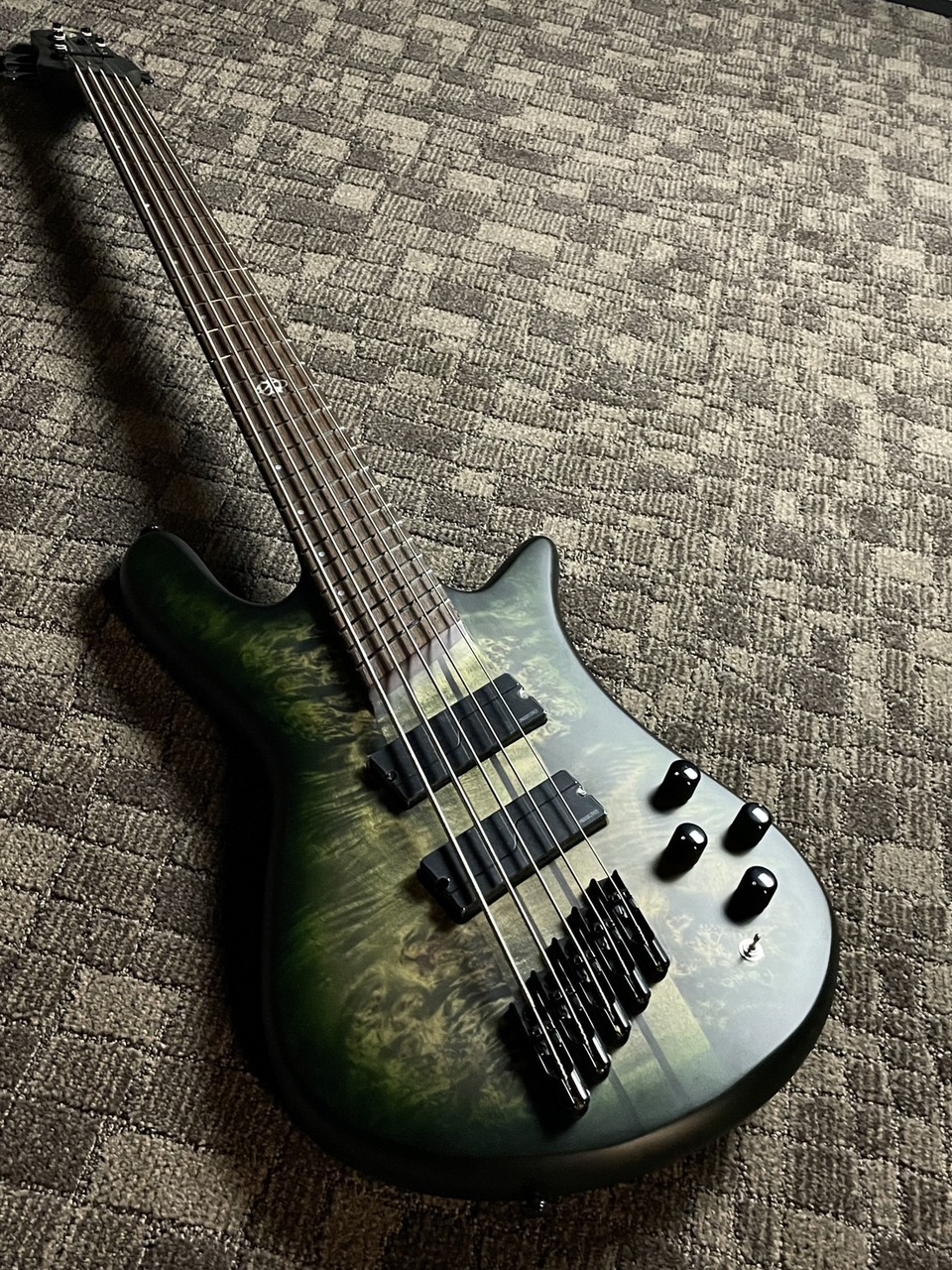 Spector NS DIMENSION MS 5 Haunted Moss Matte 選定個体 4.29kg