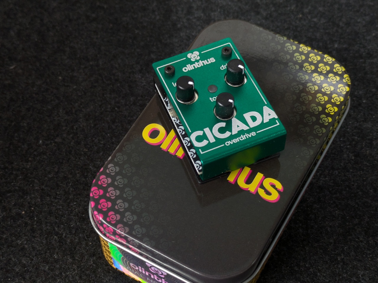 Olinthus CICADA 極小サイズのTS系オーバードライブ!（新品/送料無料