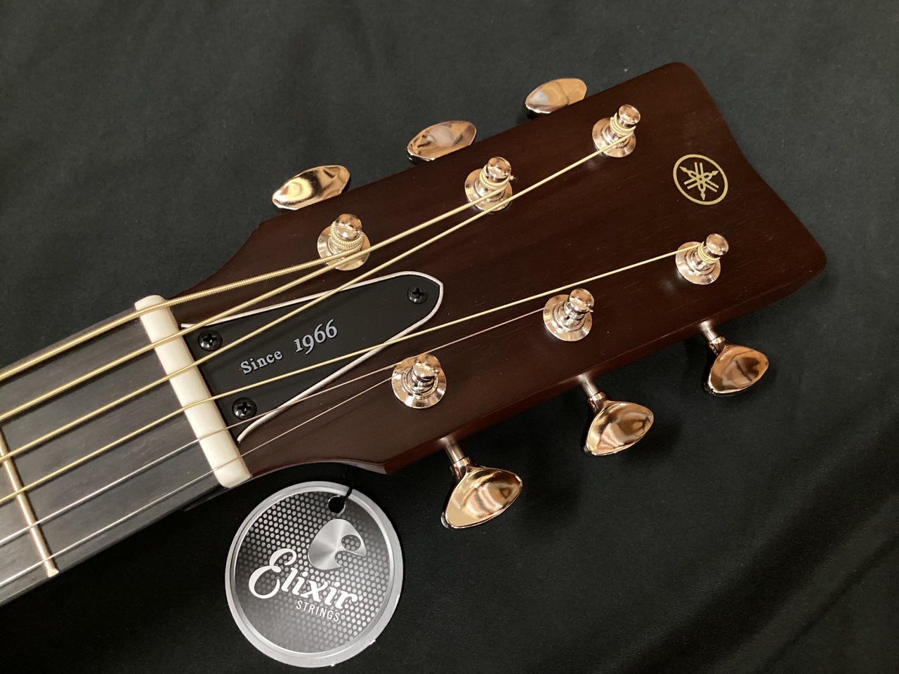 YAMAHA FGX5 GLOSS（新品特価）【楽器検索デジマート】