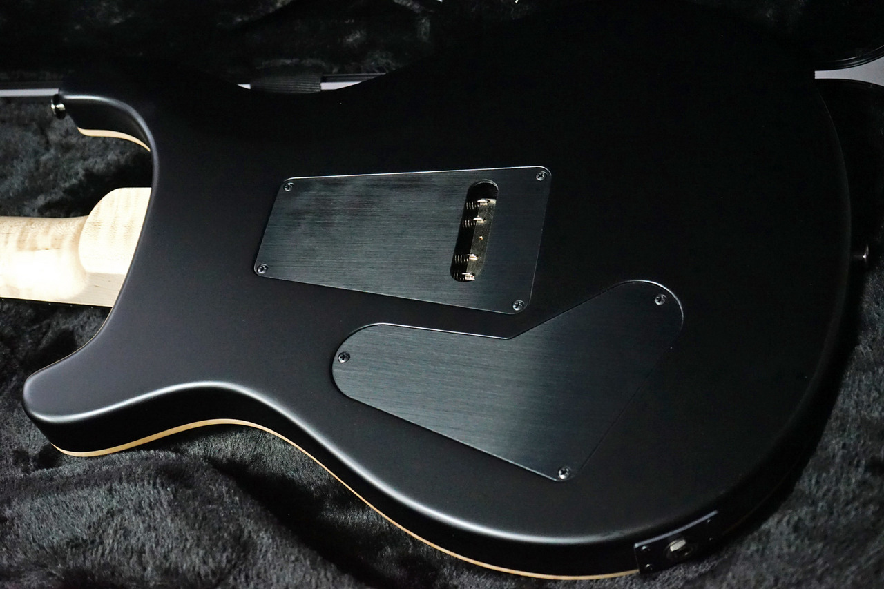 Paul Reed Smith(PRS) CUSTOM 24 Floyd 10-Top Charcoal Tri-Color