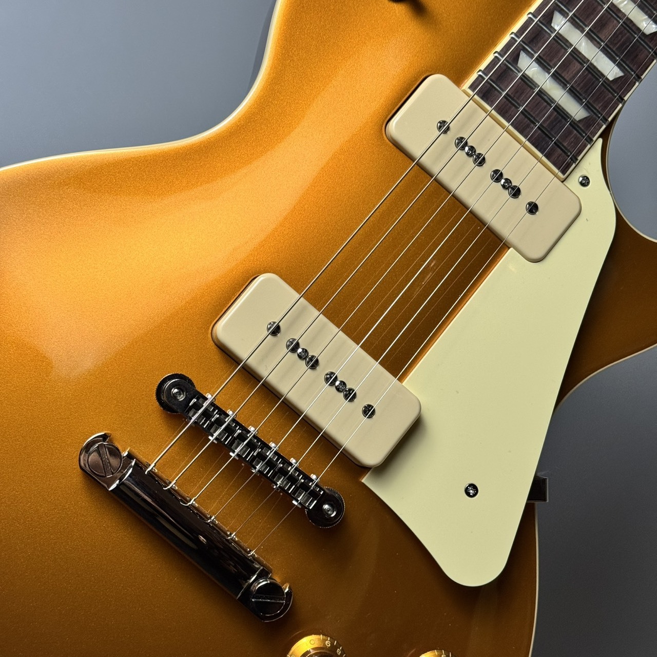 FUJIGEN(FGN) 【現物画像】NLS110RMP-AG/01 ゴールドトップ（新品/送料