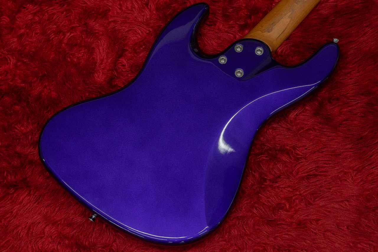 Bacchus WJB-1DX RSM/M IPM 3.875kg【GIB横浜】（新品/送料無料