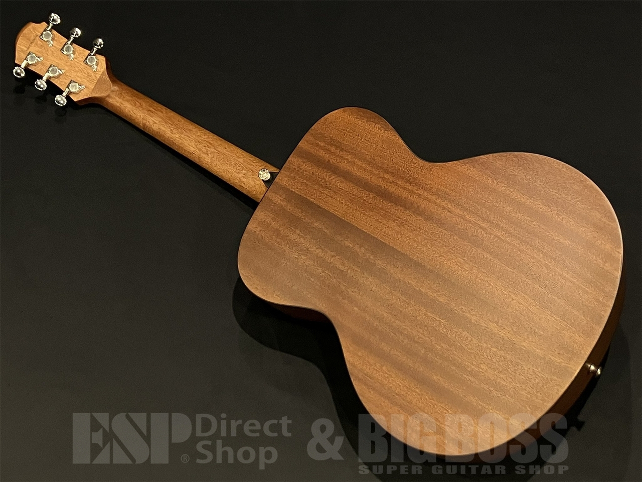 Zemaitis CAM-80H / Natural （新品/送料無料）【楽器検索