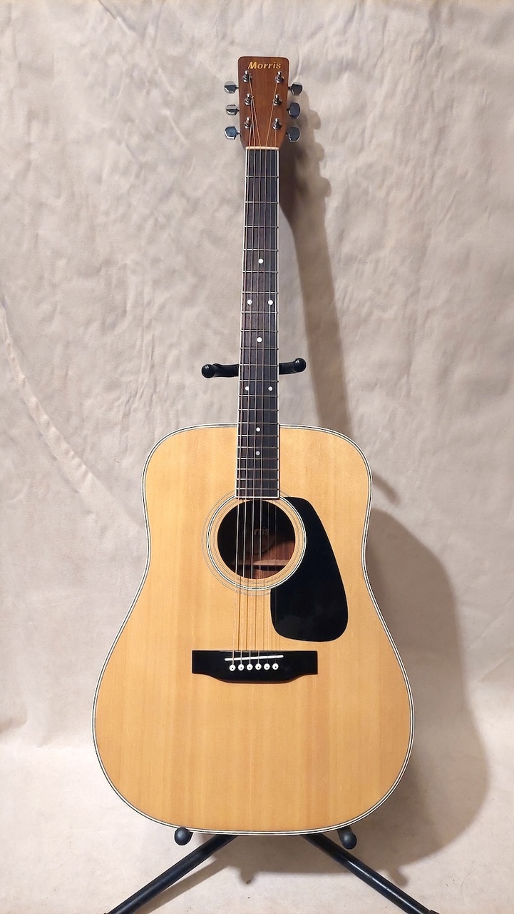 Morris MD-505（中古）【楽器検索デジマート】