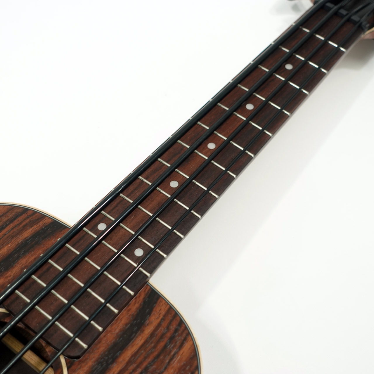 KALA UBASS-EBY-FS（新品/送料無料）【楽器検索デジマート】