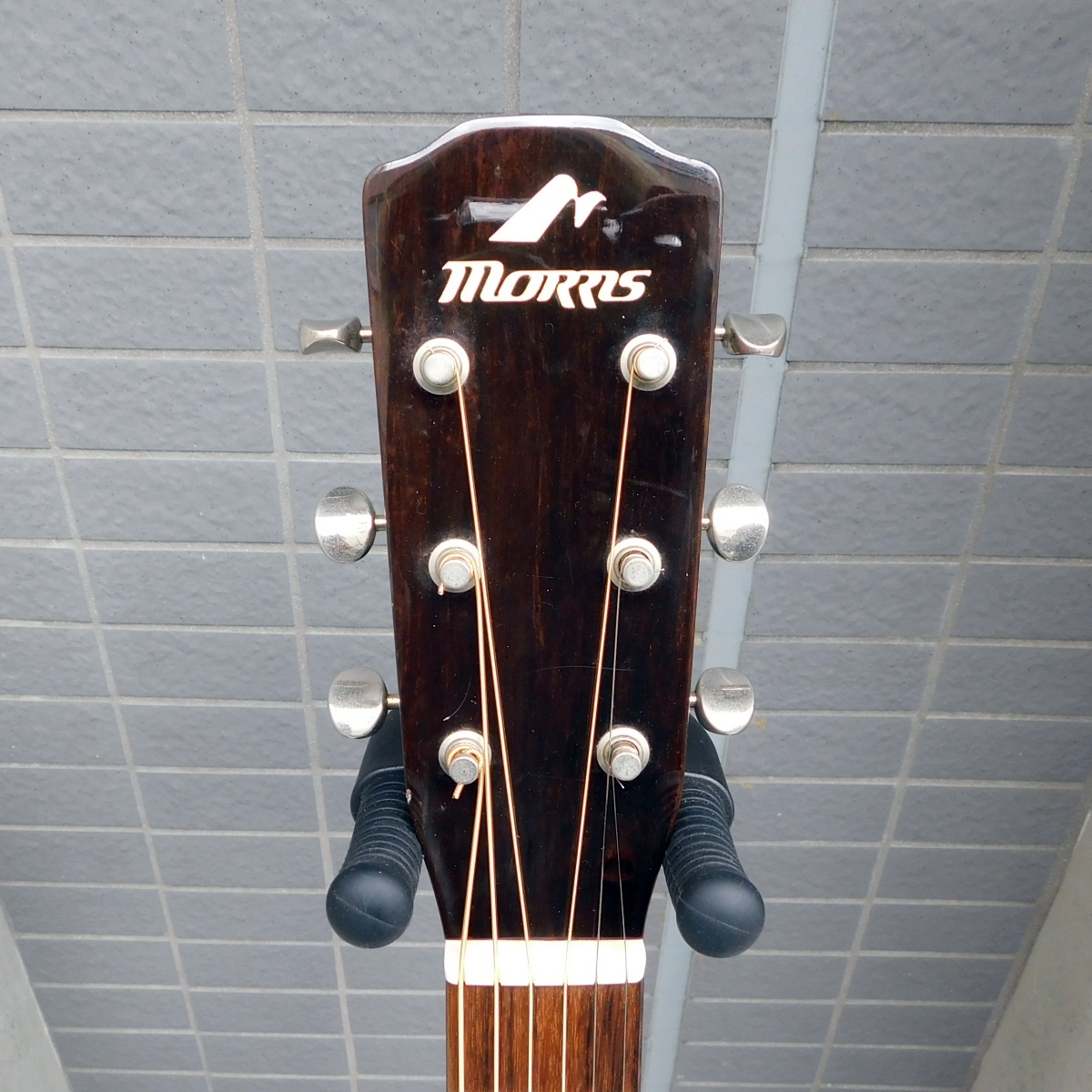 Morris MY-601 ニューヨークスタイル（中古）【楽器検索デジマート】