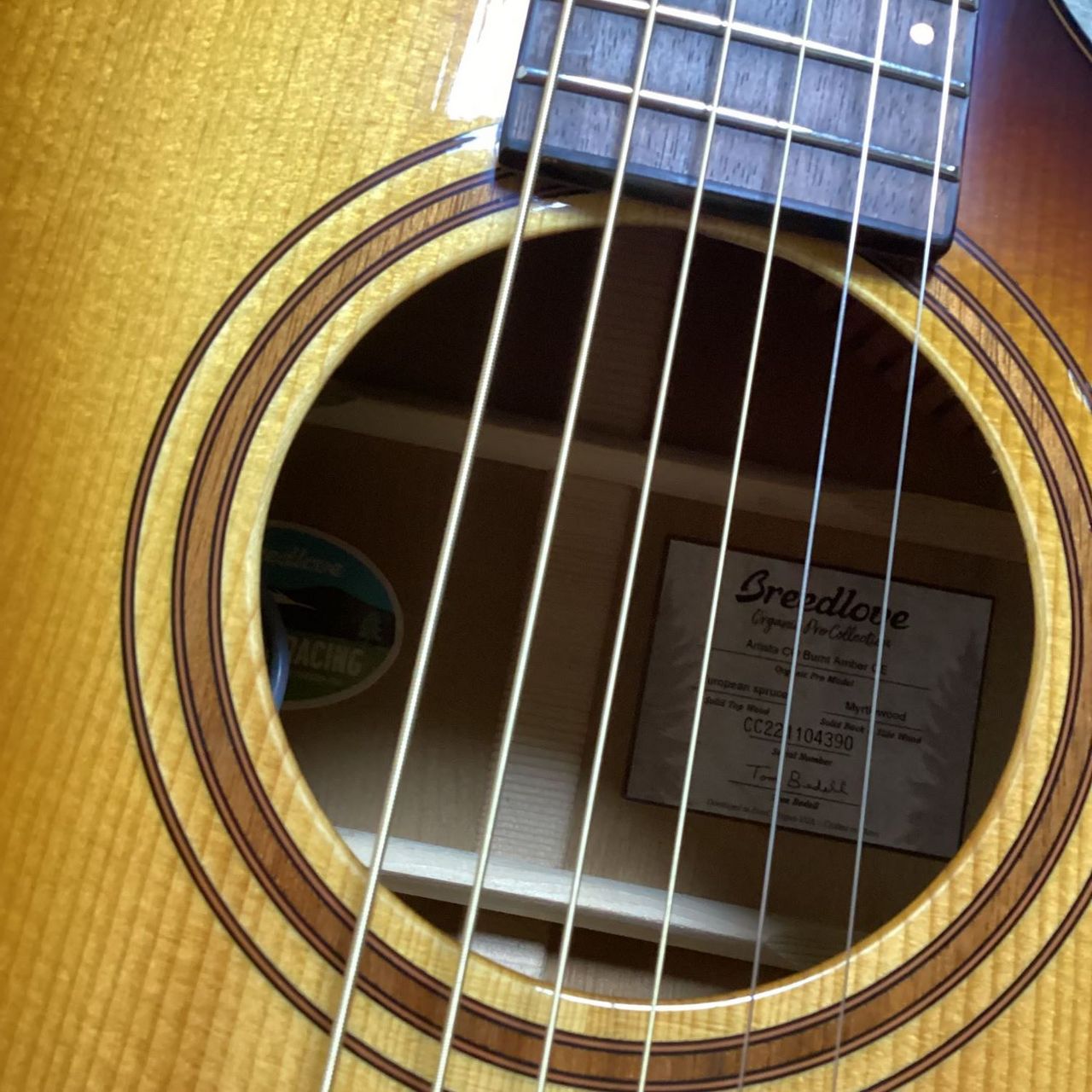 Breedlove WWI11CESU 【新品現物画像】ブリードラブ／アコギ（新品