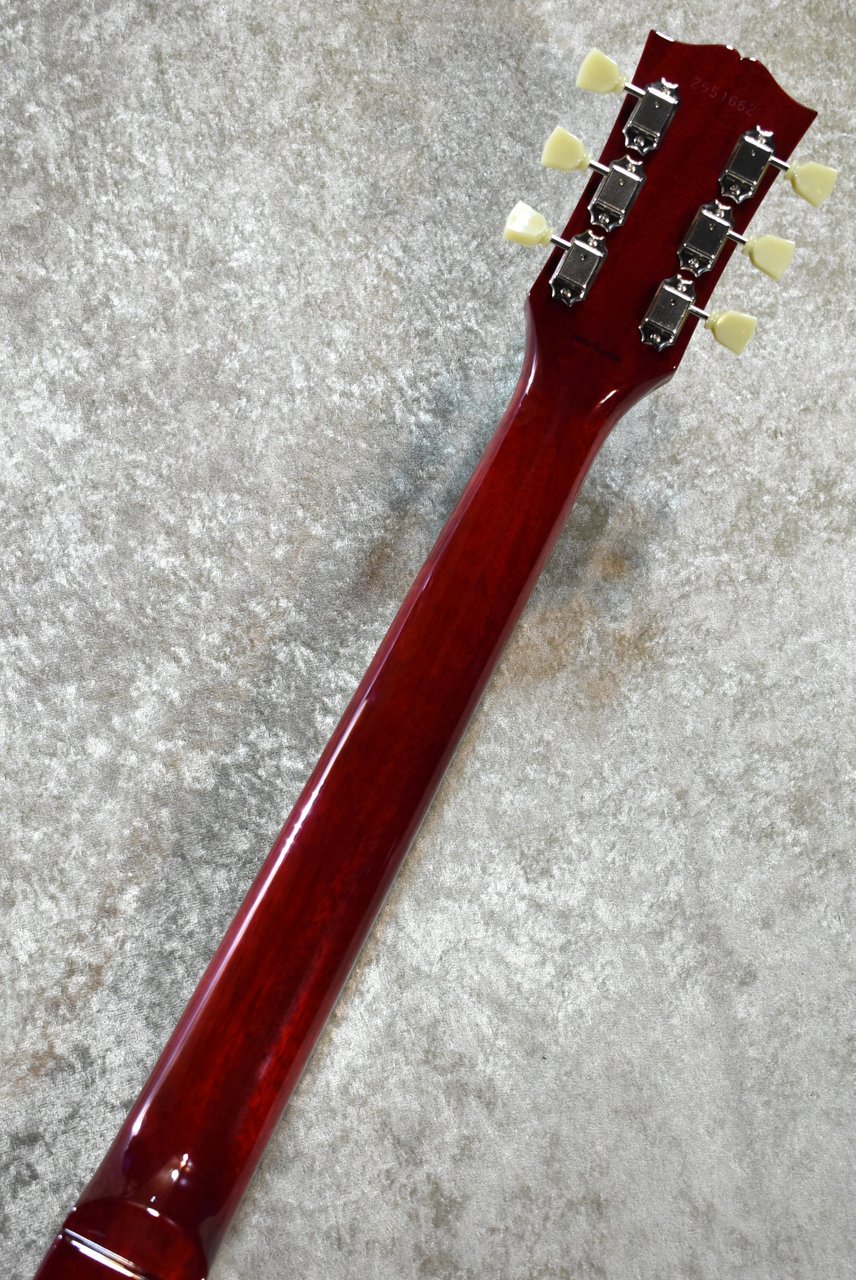 Tokai KLS180-LW VF 漆黒指板 Tokai KLS180-LW VF 漆黒指板 Tokai KLS180-LW VF 漆黒指板