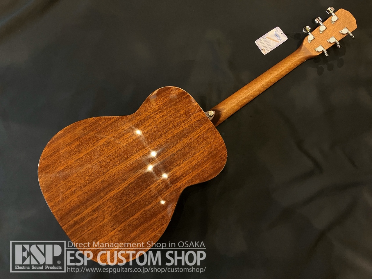 Morris F-025 RBS（新品/送料無料）【楽器検索デジマート】
