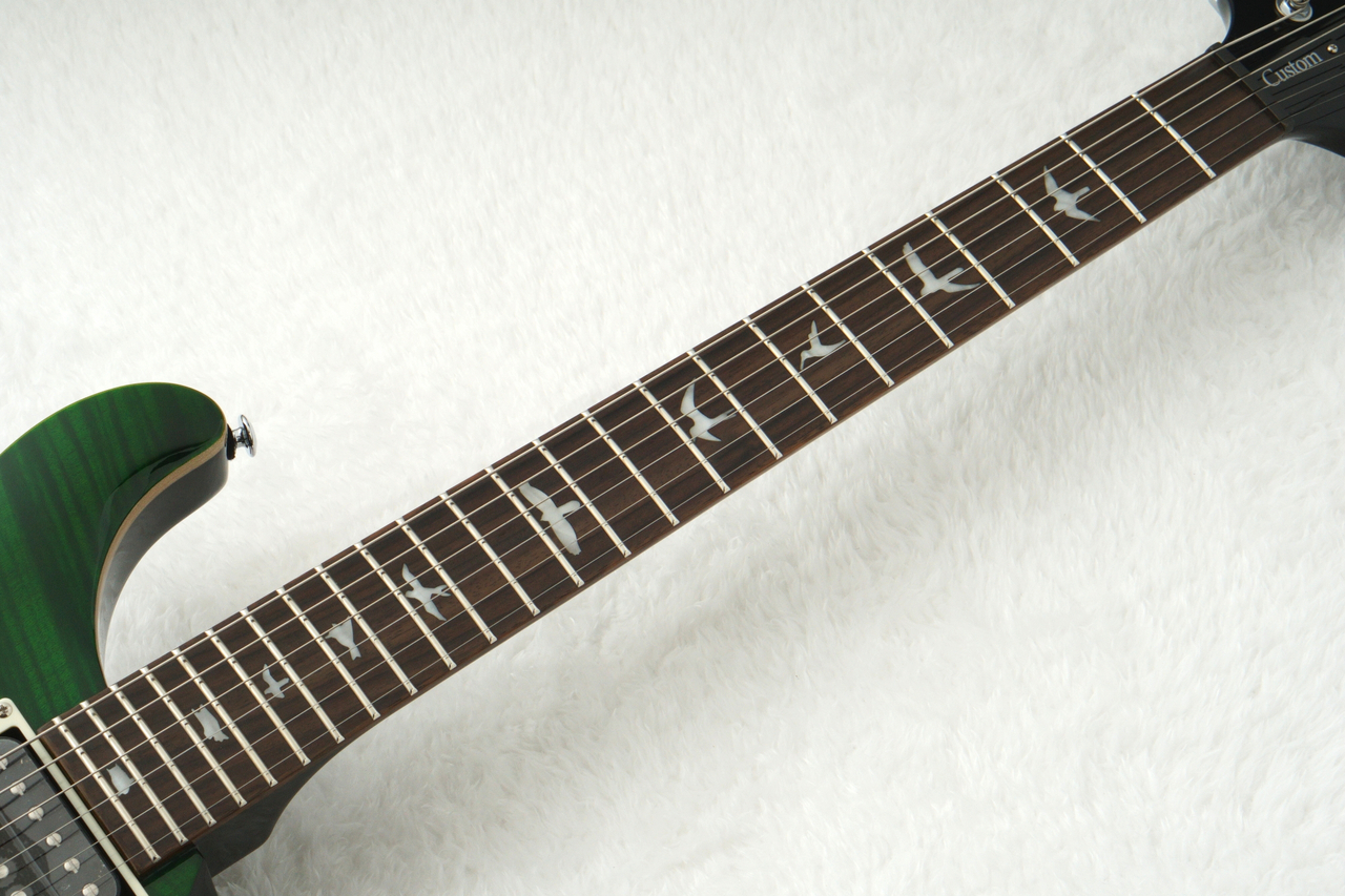 Paul Reed Smith(PRS) SE CUSTOM 24 ～Emerald Green～ #CTIH019863