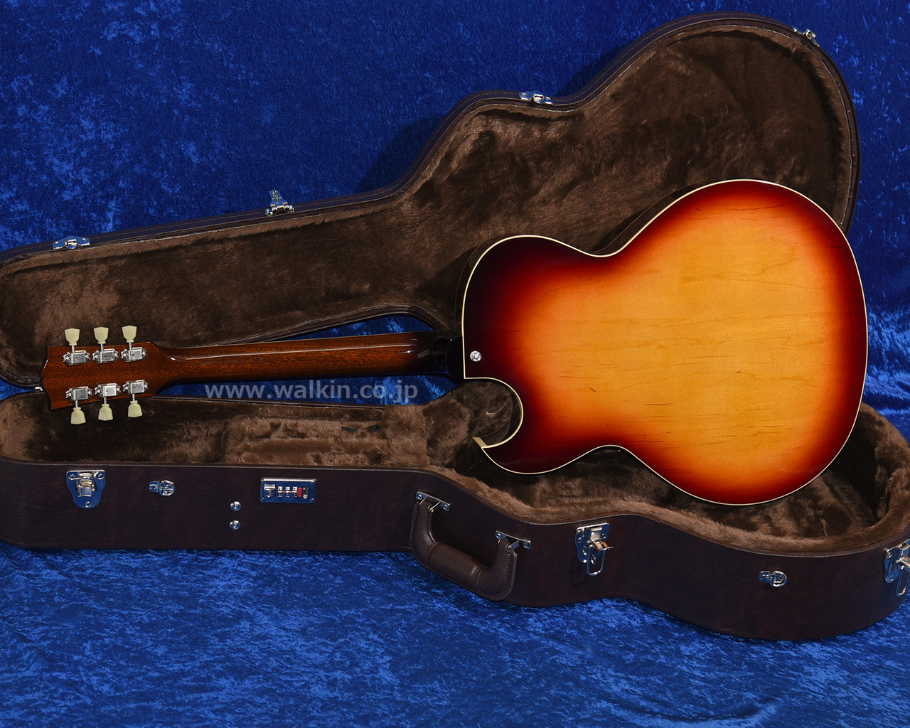 Archtop Tribute AT105（新品）【楽器検索デジマート】