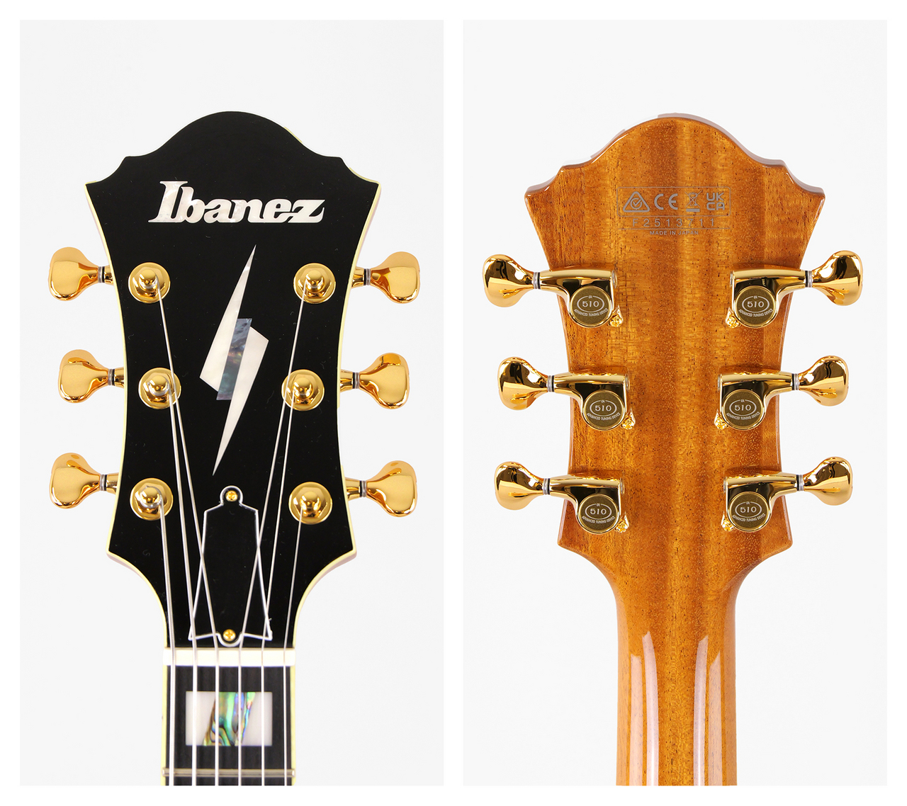 Ibanez PM200 Pat Metheny Signature 2025 (Natural)【Made in Japan