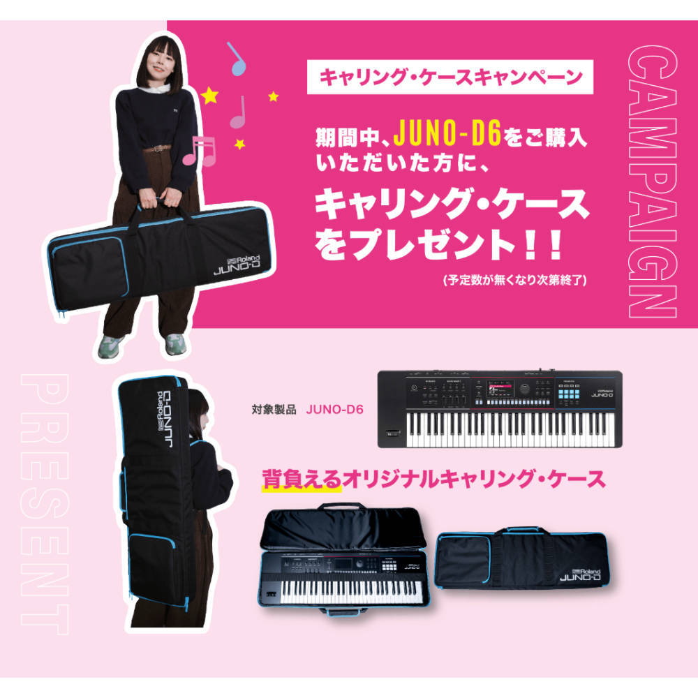 Roland シンセサイザー ローランド JUNO-D6 ジュノ 61鍵盤 ケース付き