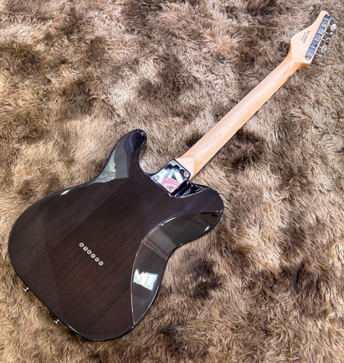 SCHECTER OL-PT-TH/STBK (See Thru Black) 【SPOTモデル】（新品/送料