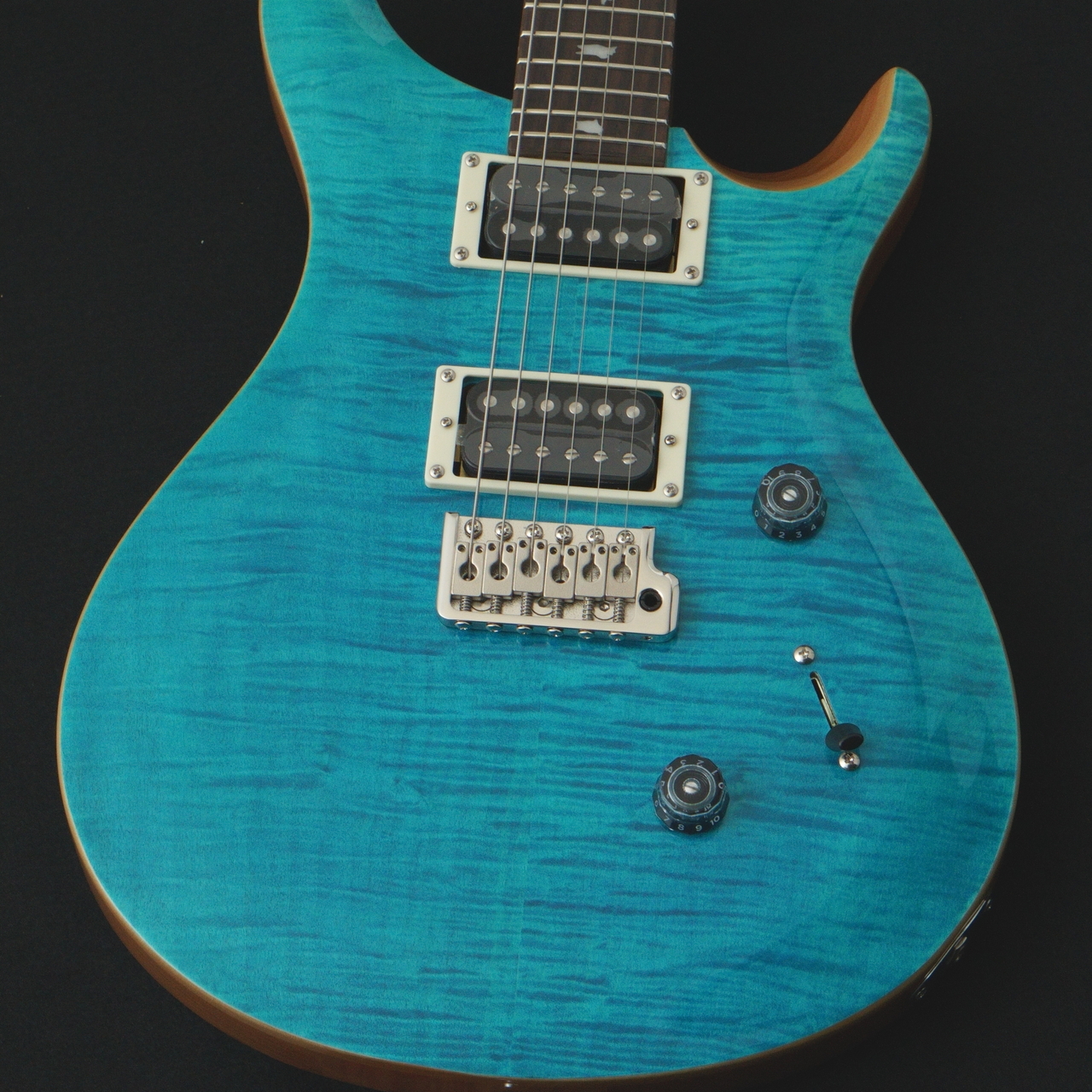 Paul Reed Smith(PRS) SE CUSTOM 24 ～Blue Matteo