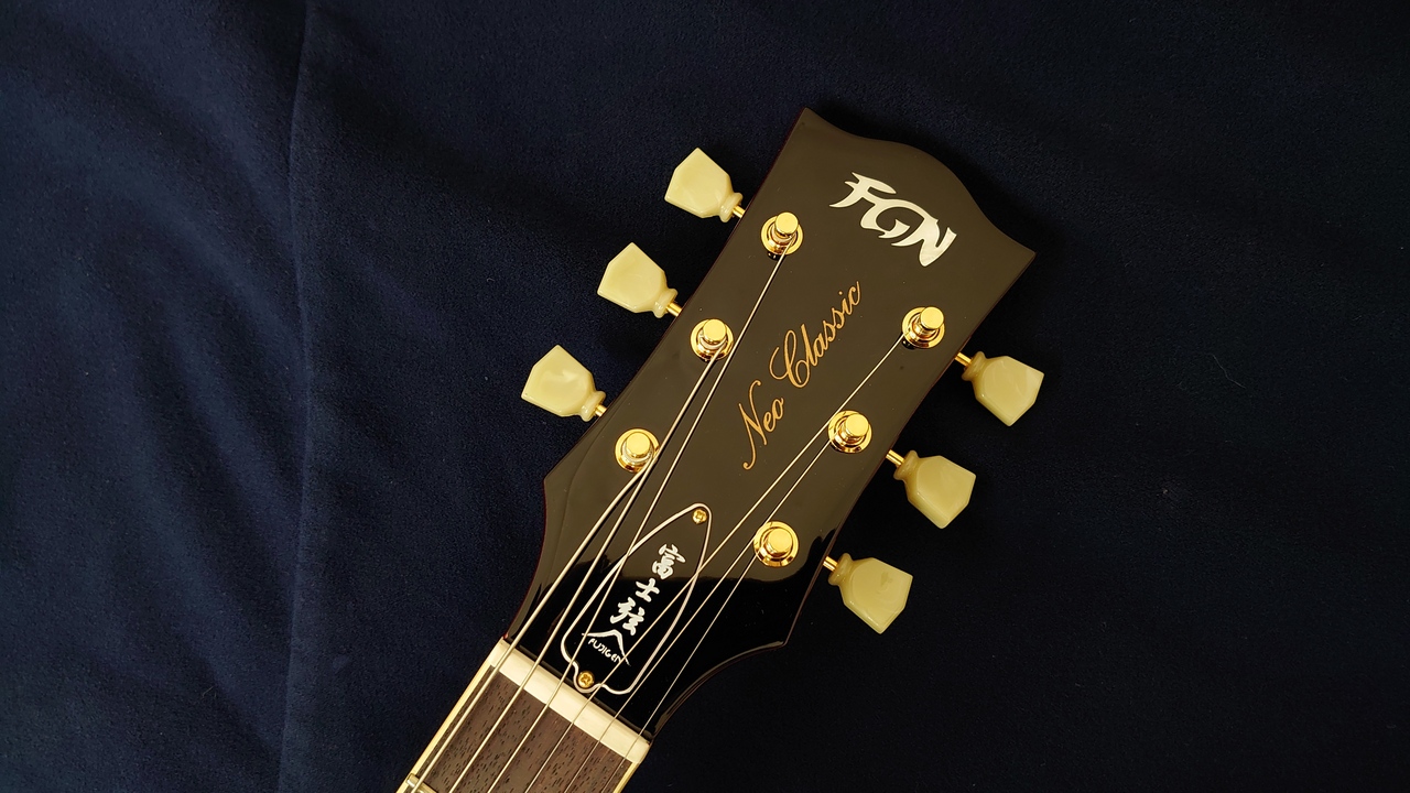 FUJIGEN(FGN) NLS10RMPTB-CAR（B級特価）【楽器検索デジマート】