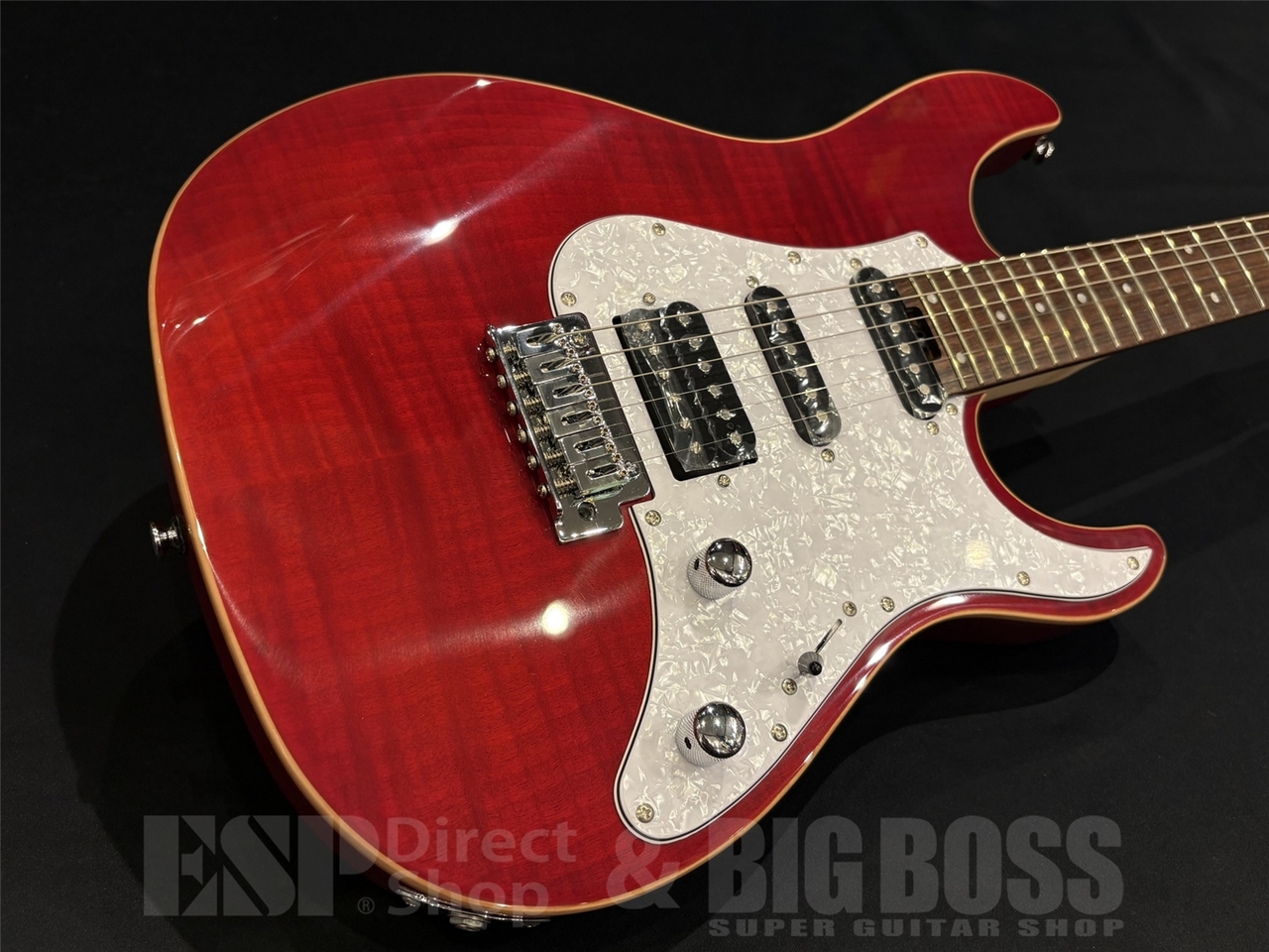 GrassRoots G-SNAPPER-CTM/FM / See Thru Red （新品/送料無料）【楽器