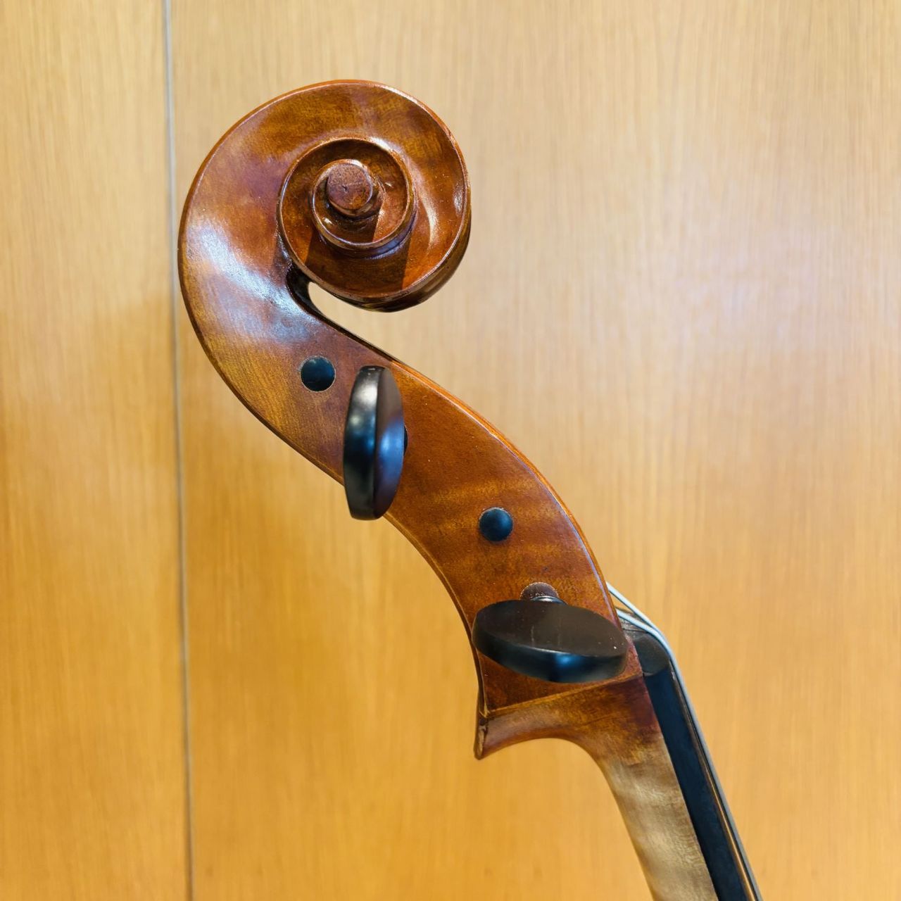 Carlo Giordano SC-160 7/8（中古/送料無料）【楽器検索デジマート】
