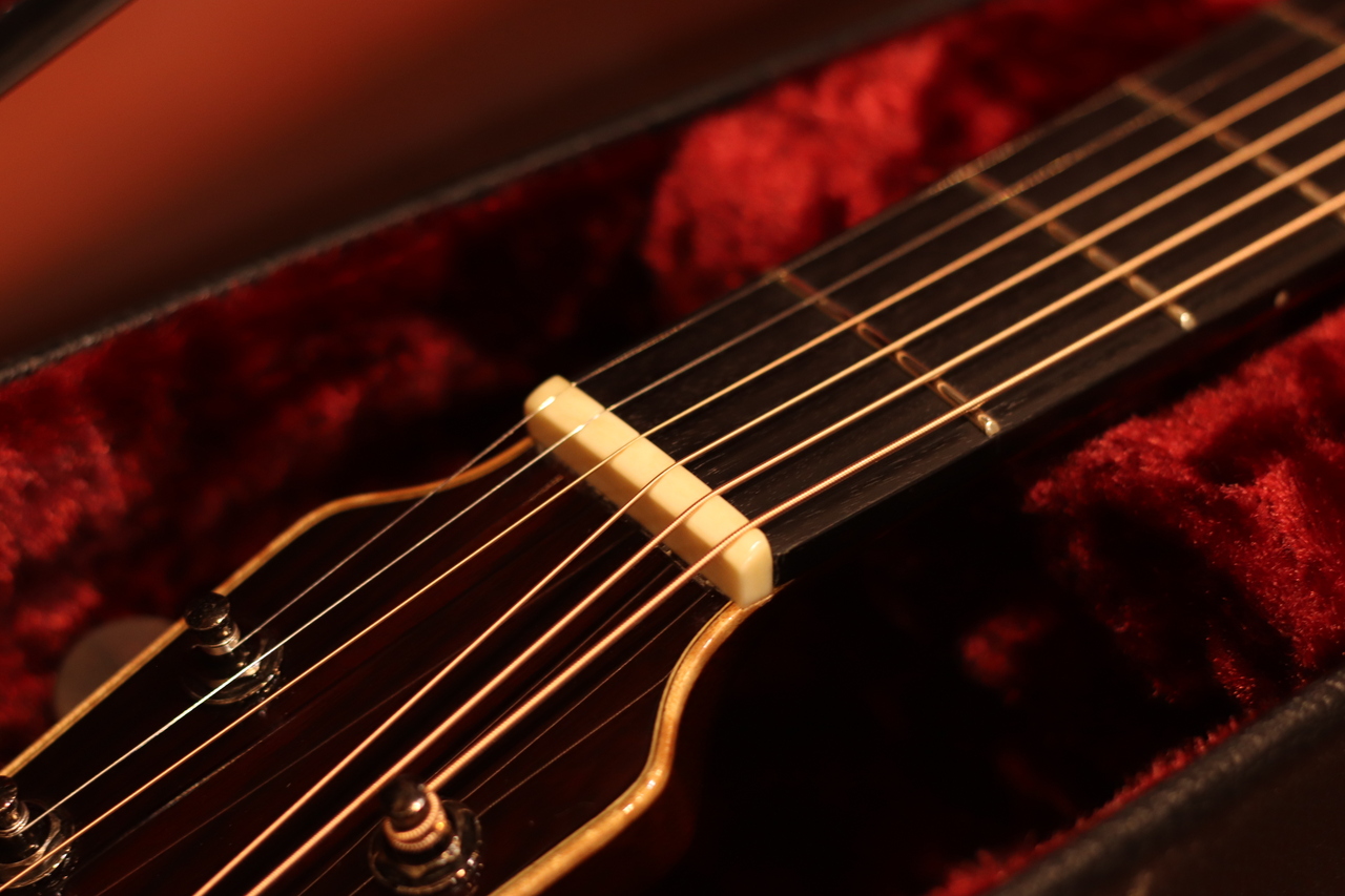 Tears SJ-R w/ /Highlander iP-2 （中古/送料無料）【楽器検索