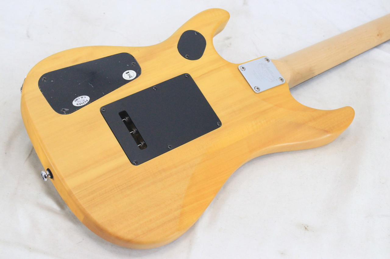 Washburn N1（中古）【楽器検索デジマート】