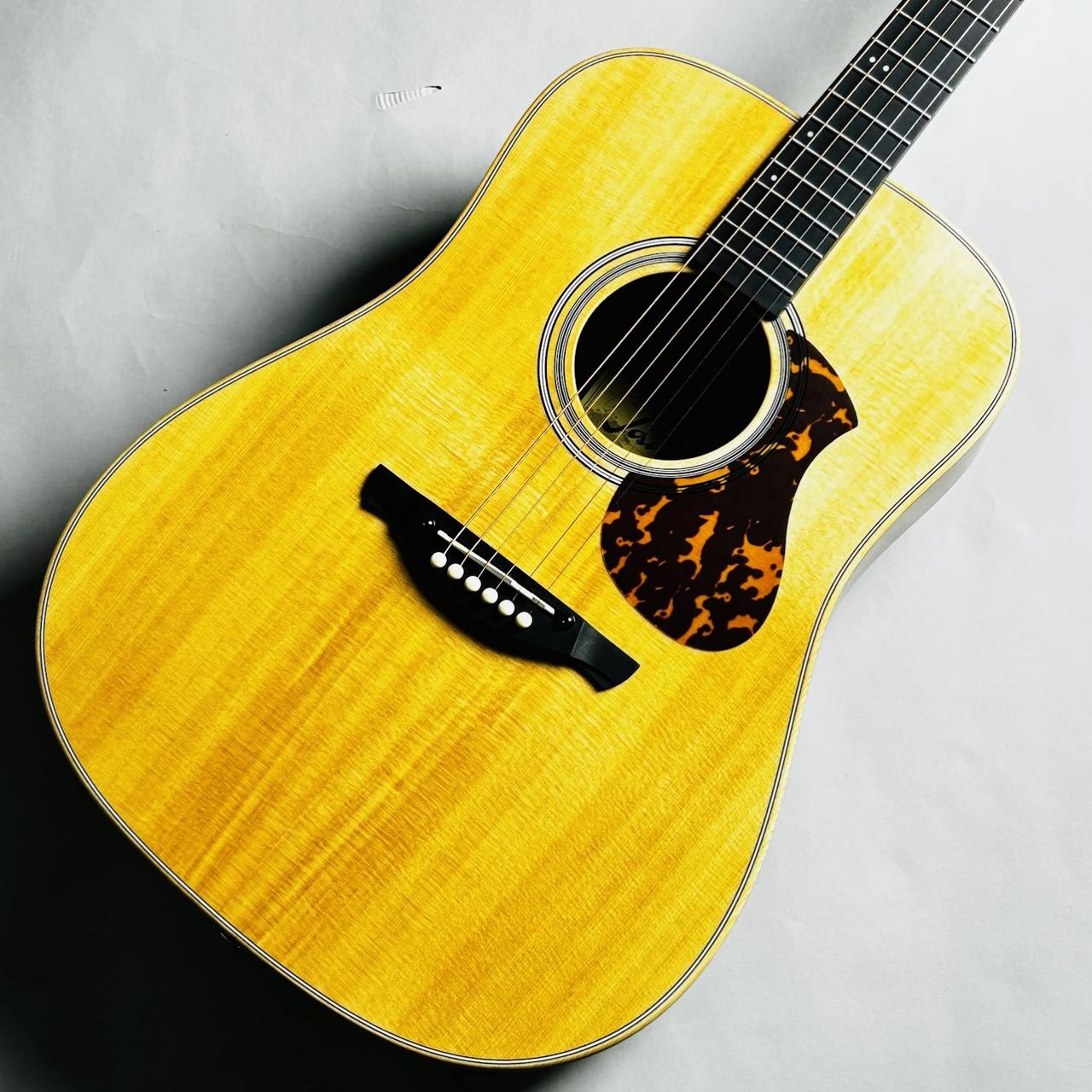 James J-300DII NAT ドレッドノート 簡単弦高調整 トップ単板（新品