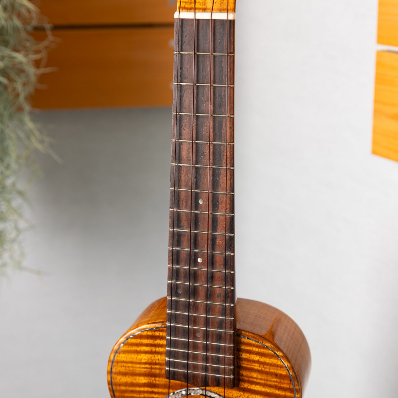 ANTAR Soprano Vintage Hawaiian Koa（新品/送料無料）【楽器検索