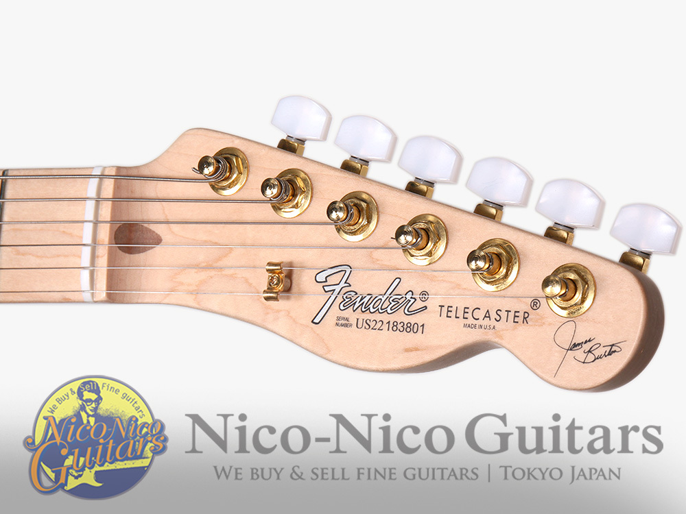 Fender USA 2022 James Burton Telecaster (Blue Paisley Flame)（中古