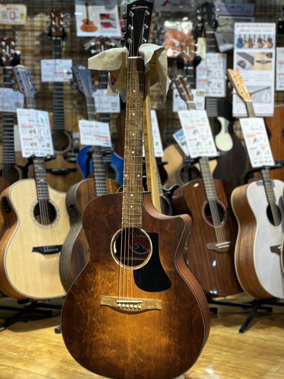 EASTMAN PCH1-GACE-CLA イーストマン ｜イケベ楽器店オンライン