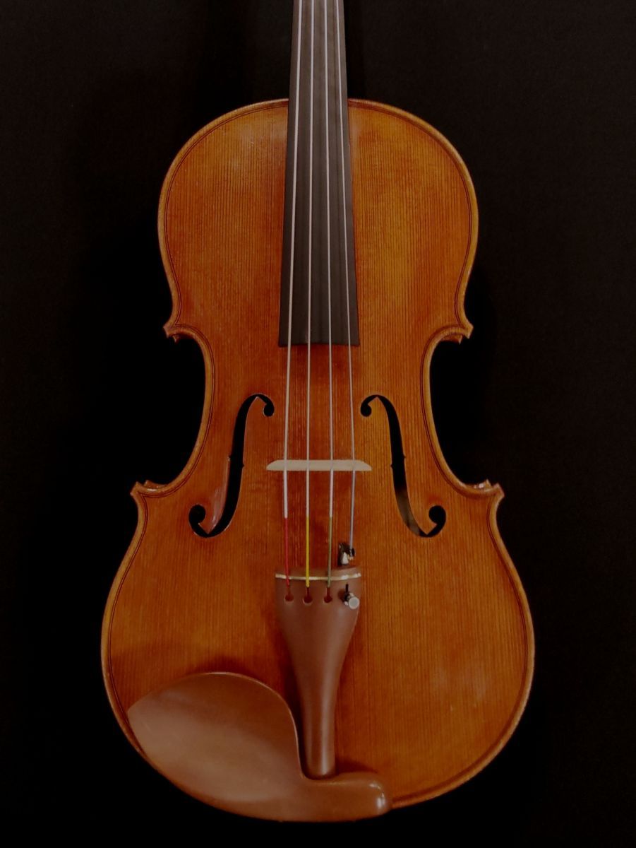 Modern Viola 【中古ビオラ】 Modern Viola ~Antonius Titonini Label