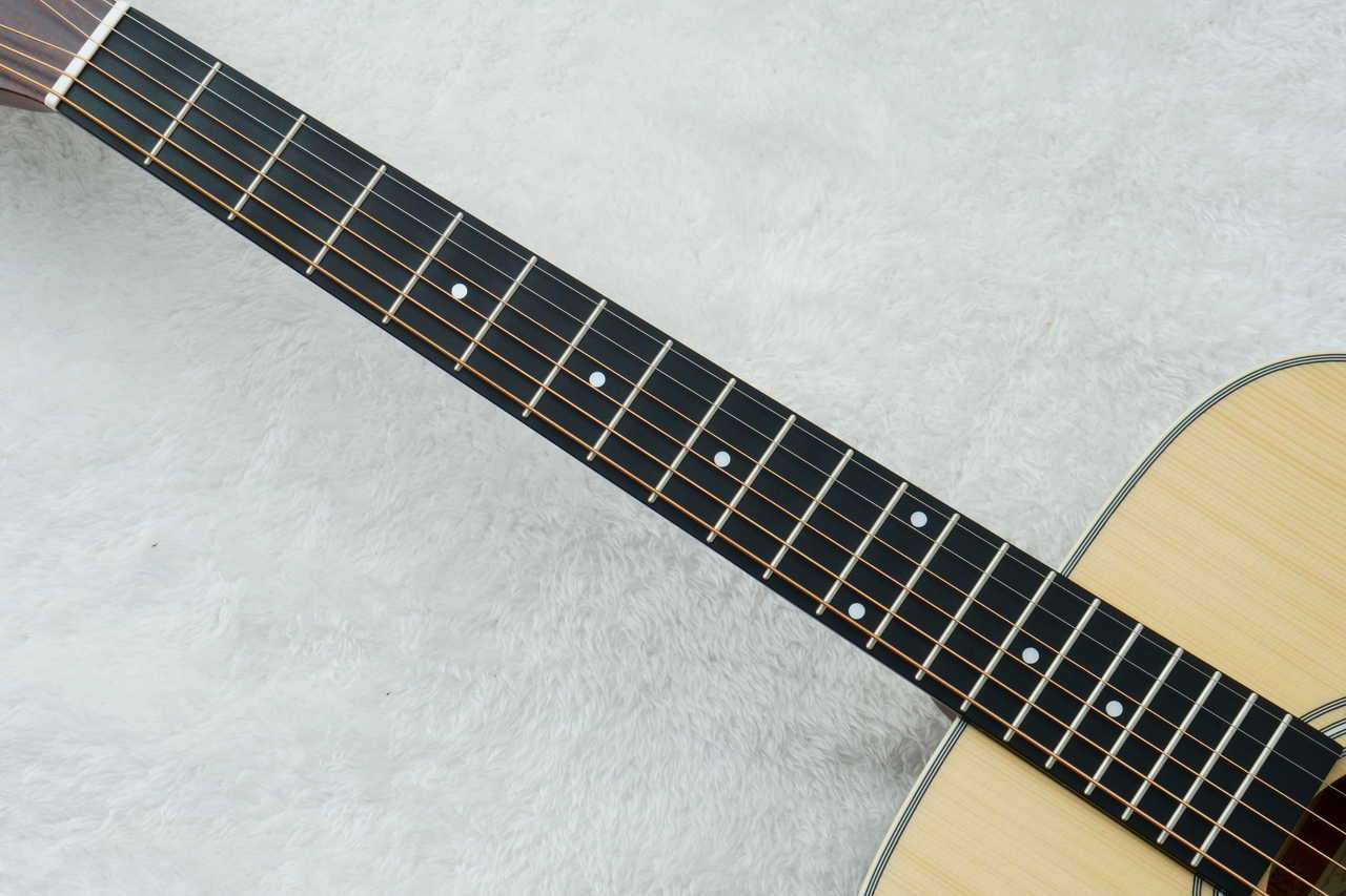 Stafford SF-3D -Natural- 【数量限定アクセサリーセット付!】【初心者