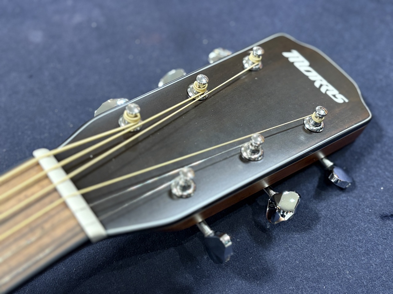 Morris F-1 NAT【専用ケース付】（新品/送料無料）【楽器検索デジマート】