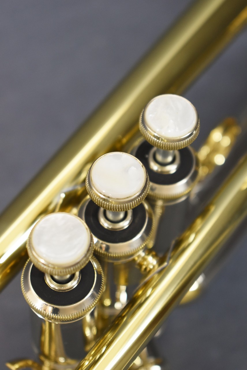 V.Bach AB190GL 