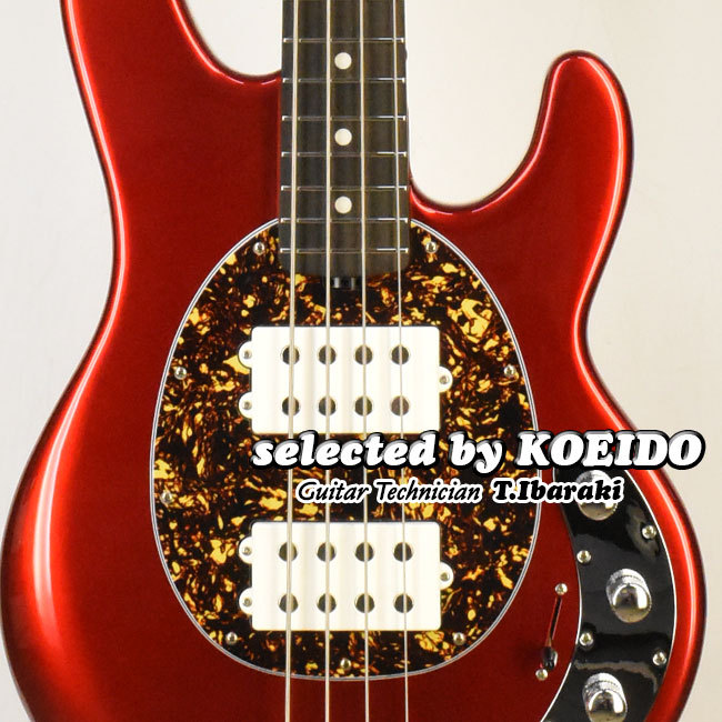 MUSIC MAN Musicman Stingray4 Special HH Ebony Candyman(selected by