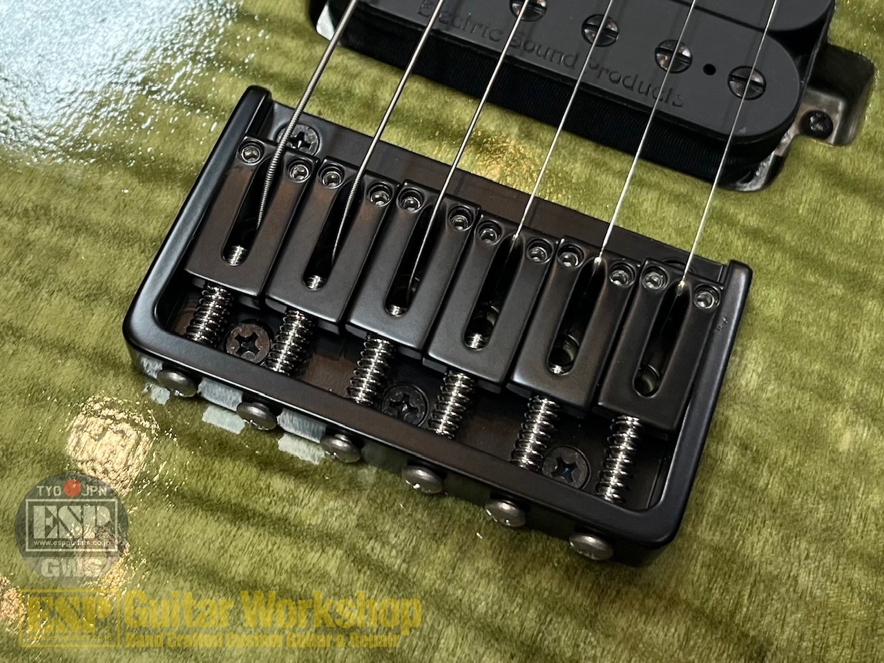 EDWARDS E-M-II CTM【Forest Green】（新品/送料無料）【楽器検索