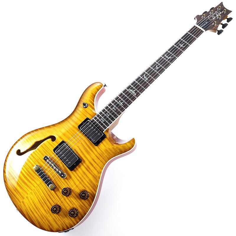 Paul Reed Smith(PRS) Wood Library McCarty 594 Semi-Hollow (McCarty