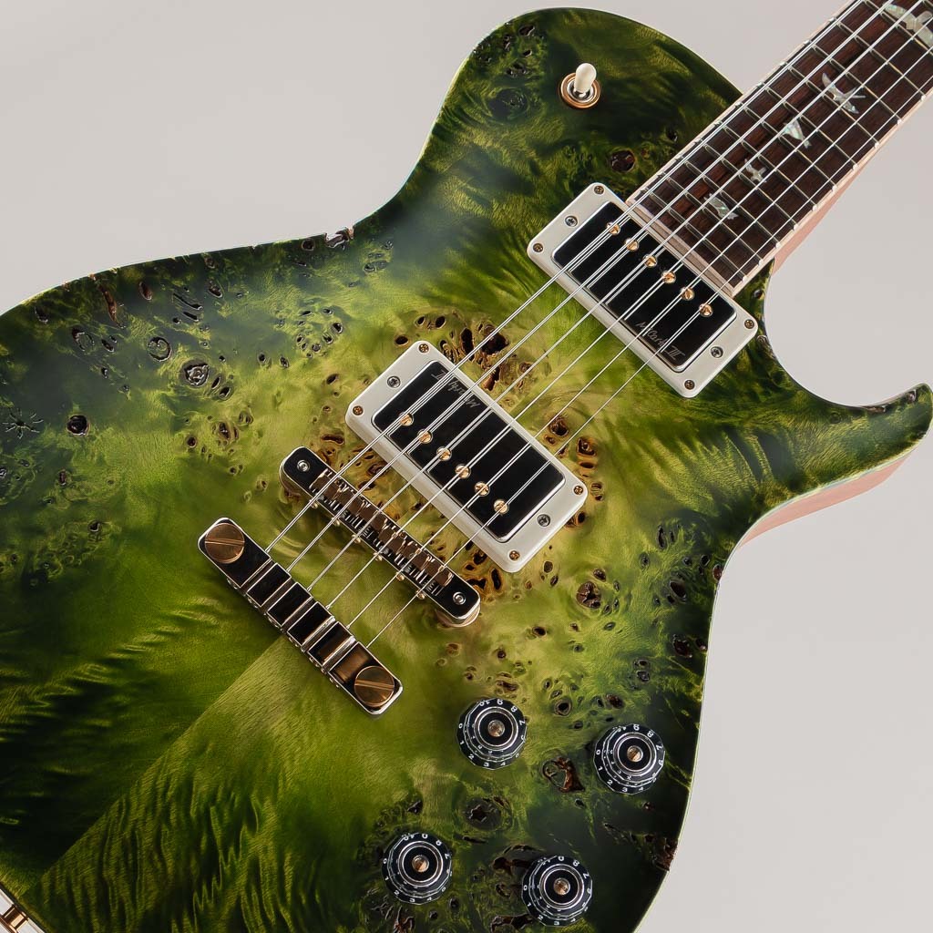 Paul Reed Smith(PRS) Private Stock # 12069 McCarty SC56