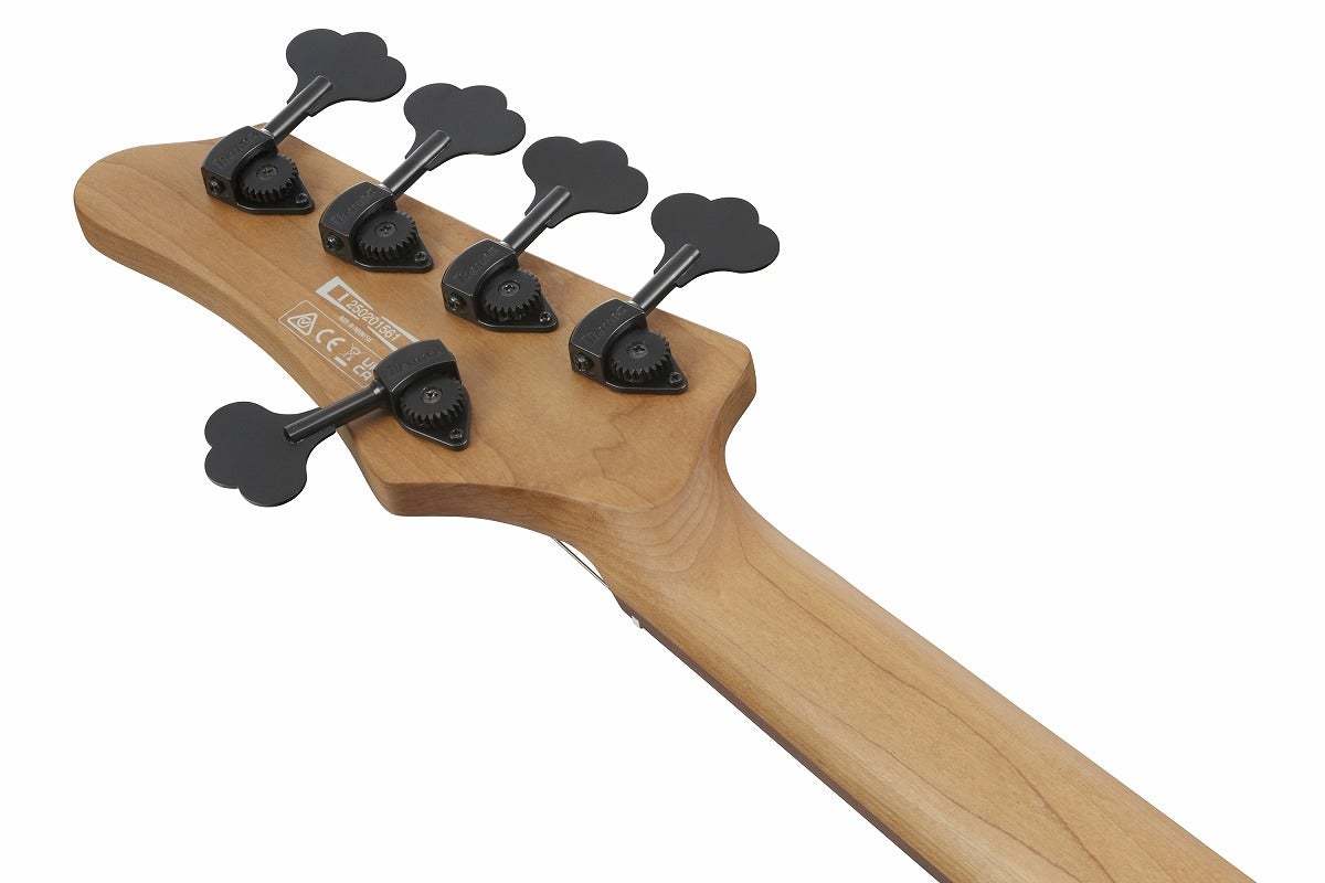 Ibanez MDM1605-DTW (Deep Twilight) アイバニーズ エレキベース 5弦