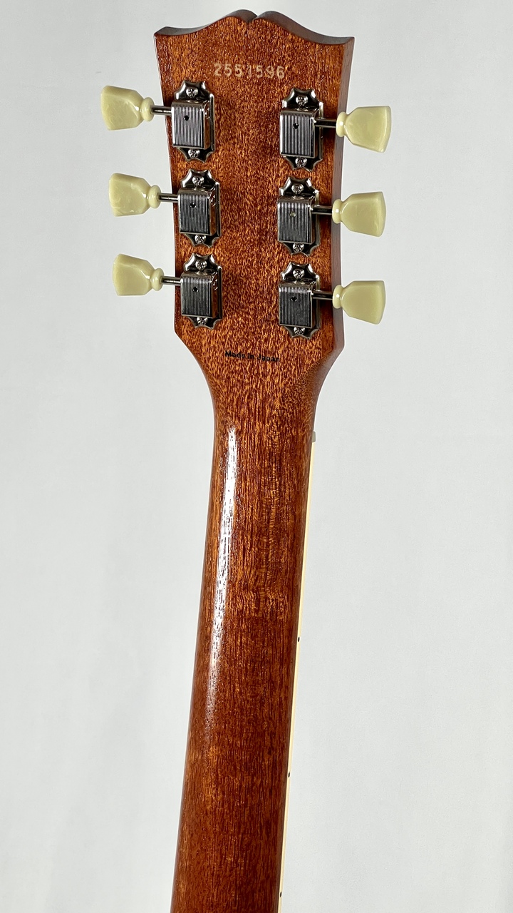超希少!!カスタムオーダーモデル!! TOKAI LS120WF/OAK 超希少!!カスタムオーダーモデル!! TOKAI LS120WF/OAK 超希少