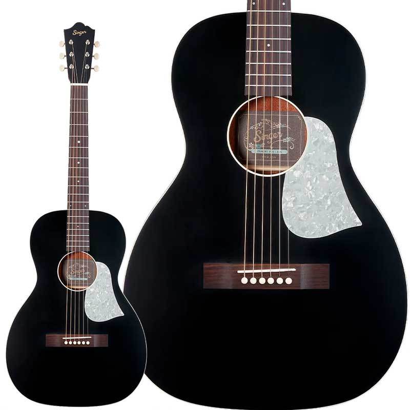 aNueNue P01 Black (ブラック) アコースティックギター トップ単板