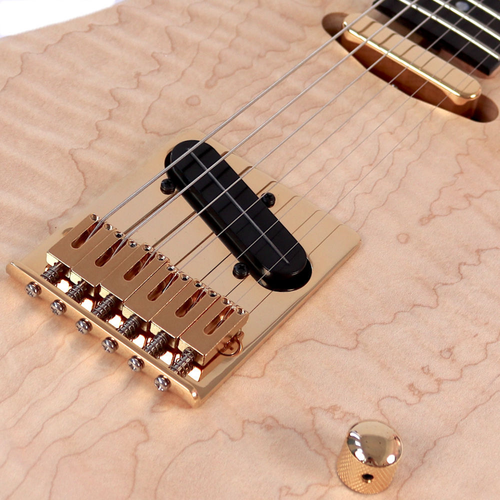 Washburn ワッシュバーン NELEDLX-D-U NELE DELUXE エレキギター（新品